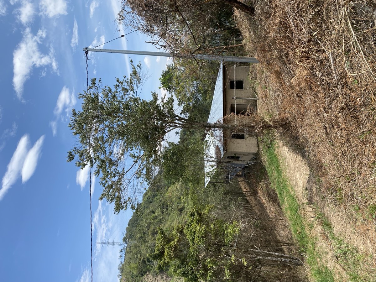 Casa del cafetal
