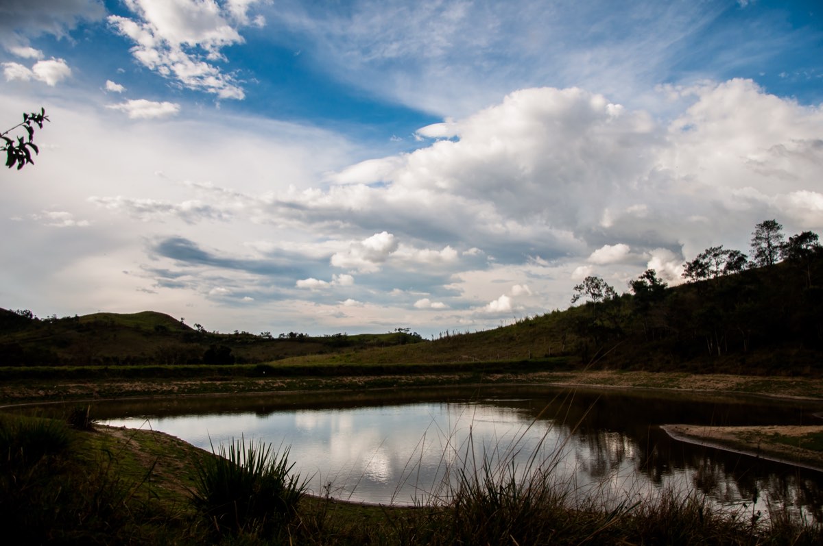 Bosque en conservación en Los Chagualos