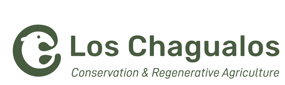 Los Chagualos, Conservation & Regenerative Agriculture