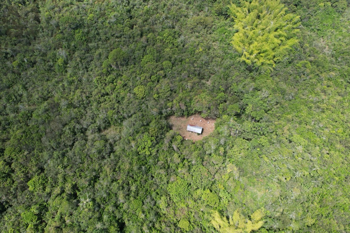 Apiario dentro del bosque de la reserva